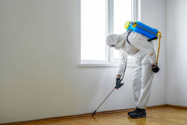 Best Real Estate Pest Inspections  in Ranlo, NC